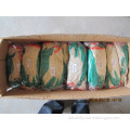 Cotton/Polyester Liner with Latex Smooth Finished (DKL314)